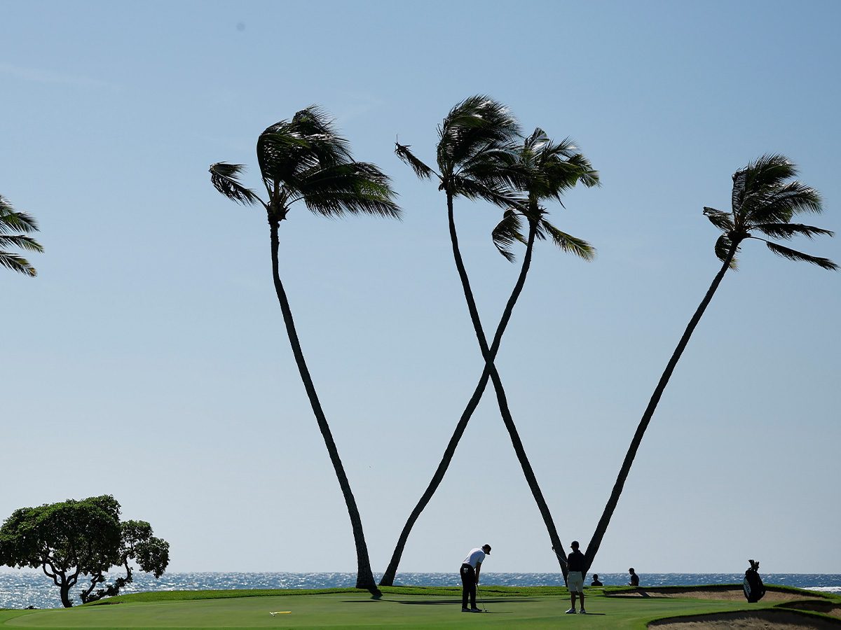 The 16th and the W Palm